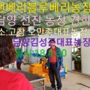 김성곤농장 이미지