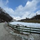 도하목장 | 강원 평창군 양떼목장 가볼만한곳 여행 내돈내산 후기 추천 국내여행 여행코스