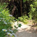 소양강변길(봄내길 4-1코스) 이미지