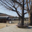 신풍민박 이미지