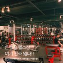 바벨앤덤벨 피트니스 | 대전 은행동 헬스장 바벨피트니스 은행동점, 넓고 기구 다양한 24시간 헬스장