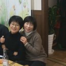 해정농장 Daum카페