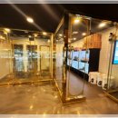 도그바이러스 이미지