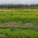 오수천2 이미지