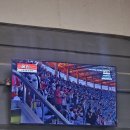 새온정형외과의원 | 6월 5일 랜더스필드 SSG vs KT 방문후기