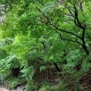 마전교(상)