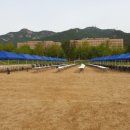 엔티카센타 네이버블로그