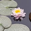 이코노행정사사무소 이미지