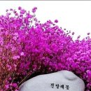 대성종합인쇄