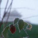 충남회집 이미지