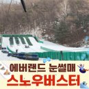 에버랜드 눈썰매장 스노우버스터 후기 : 개장, 위치, 운영 시간, 꿀팁, 윈터토피아 축제 볼거리 총정리