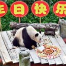 마오타이그룹 이미지