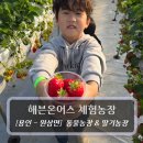 홍천이화사슴농장 | 용인 체험농장 :: 헤븐온어스 체험농장 - 딸기 수확 &amp; 동물 먹이주기 체험