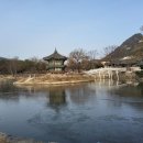 청와대족발