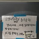 이도통상 | 세종 금남면 대형 베이커리 카페, 이도커피 3호점(세종호탄점)에 다녀온 내돈내산 솔직후기입니다.
