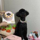 마싯개냠냠 이미지