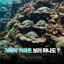 MUKA | 마나도 여행 패키지 항공권 스카이스캐너 검색 안되는 이유 | 동남아 휴양지 여름휴가 추천