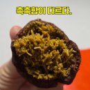 그랑팔레베이커리 | 내기준 솔직히 여기가 1등임. 광주 두바이쫀득쿠키, 두쫀쿠 맛집. 파는곳