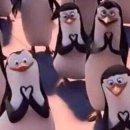 도림로139길 이미지