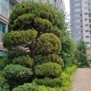 지산아이앤씨주
