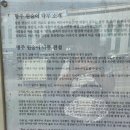 풍창부부인조씨묘 | 강릉, 책을 술과 바꾸다