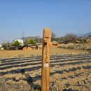 효자오형진지려 이미지