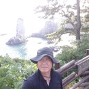 솔빛바다 이미지