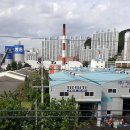 사하구-72 이미지