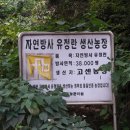 언덕위에토종닭집 이미지