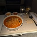 dog조아 | 인천-시카고 대한항공 반려견 동반 미국여행 서류 리스트, 프레스티지석 후기