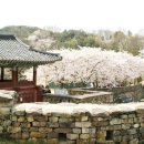 산사펜션 네이버블로그