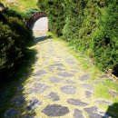 법성포 숲쟁이공원 이미지