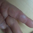 오디하우스 Daum카페