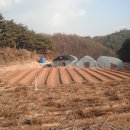청량산농원