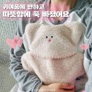 물주머니 | 오미도미웍스 보온물주머니 멜티 귀염템 사용후기