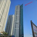 용인한얼초등학교 이미지