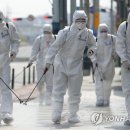 오늘의 방역 이미지
