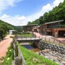 자연에 품 이미지