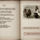 (주)루피움 이미지