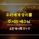 요한카오일