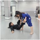 용인대 수 합기도 이미지