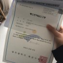 연주스럽게 이미지