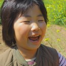 돌섬해초비빔밥 이미지