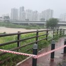 양재천로 이미지