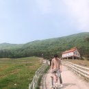 춘삼월목장 이미지