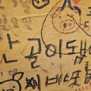 미식가의고기 이미지