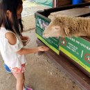 위드목장 이미지