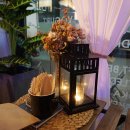 하와유투데이 이미지