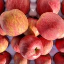 유창농장 이미지