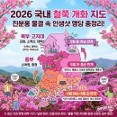 다원추어탕 | 진분홍 물결 철쭉, 올봄 인생샷 건질 준비 되셨나요?